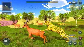 Cheetah Sim Wild Animal Games - Screenshot 1