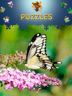 Animals Jigsaw Puzzles Free - Screenshot 3