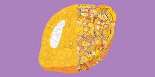 Little Objects: FindMeIfYouCan - Screenshot 1