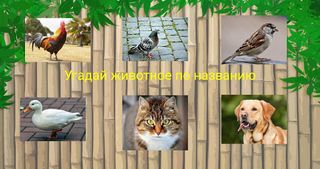 Угадай животное - Screenshot 3