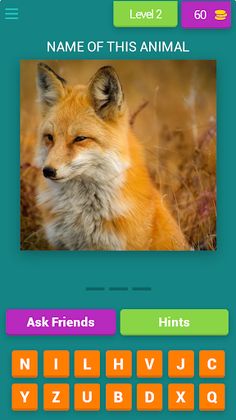 Guess The Animal - Screenshot 3