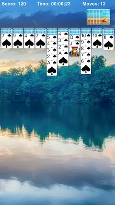 Spider Solitaire Pro - Screenshot 1