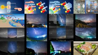 Sustainable sea puzzle - Screenshot 3