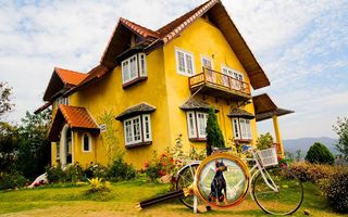 Find a Dog 2 - Hidden Object - Screenshot 1