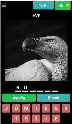 Adivina la imagen 2.0 - Screenshot 2