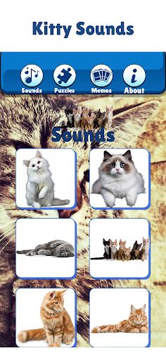 Kitty Cat Games For Kids Meow - Screenshot 2