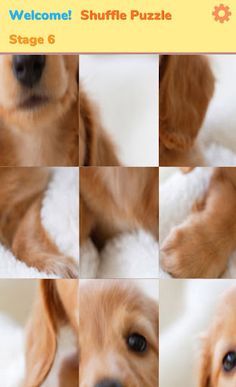 Shuffle Puzzle - Screenshot 4