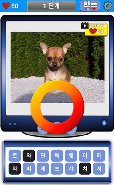 도그퀴즈 - Screenshot 3