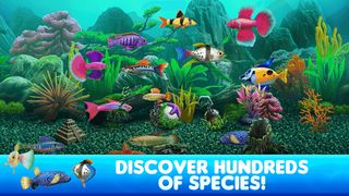 Fish Tycoon 2 Virtual Aquarium - Screenshot 1