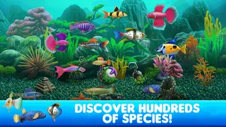 Fish Tycoon 2 Virtual Aquarium - Screenshot 1