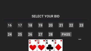 29 Card Game - Screenshot 2