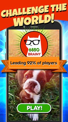 Word Search Pets - Screenshot 1