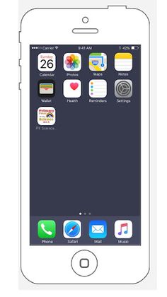 P4 Science Set A - Screenshot 1