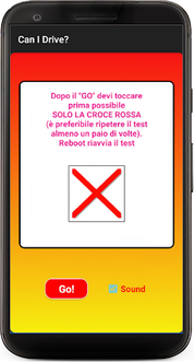 Can I Drive? Basic - Screenshot 1