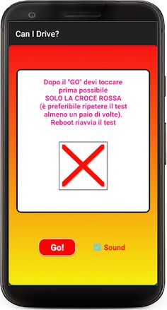Can I Drive? Basic - Screenshot 1