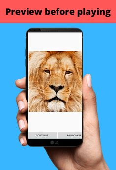 HD Photo Sliding Puzzles - Screenshot 3