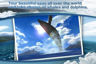 REAL WHALES Find the cetacean! - Screenshot 1