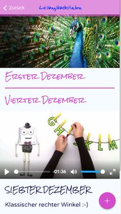 Aralik 2.0 - Screenshot 3