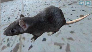 إلعب مع القط 2019 - Screenshot 1