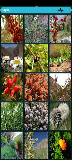 Ишкашимский язык - игра - Screenshot 2