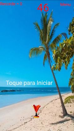 Petequinha - Screenshot 3