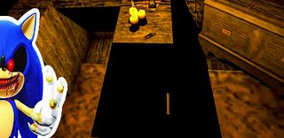 Hedgehog EXE - Horror Evil 3D - Screenshot 1