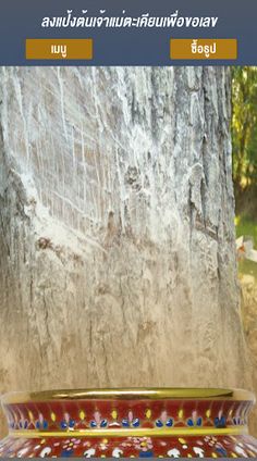 เลขเทียนหยดต้นตะเคียน - Screenshot 3