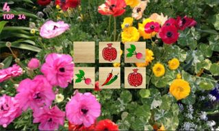 Endless Match - Fruit Memory - Screenshot 2