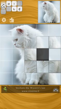 Quile - Screenshot 4