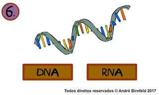Genius Quiz Science - Screenshot 3