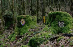 Struggle Forest Escape - Screenshot 4