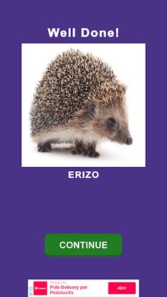 Trivia Mundo Animal - Screenshot 4