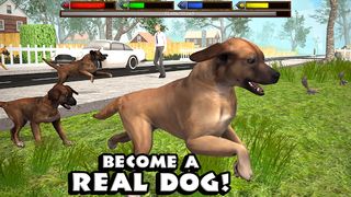 Ultimate Dog Simulator - Screenshot 1