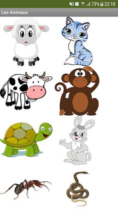 Apprendre AMAZIGH RIF - Screenshot 4