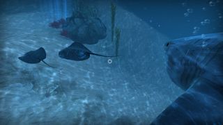 VR Shark - Screenshot 2