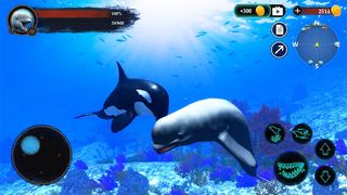 The Beluga Whale - Screenshot 1