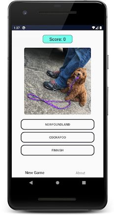 Dogs Quiz: Guess and Learn the - Screenshot 4