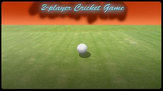 2 Player Cricket Game - CASUAL - Screenshot 3