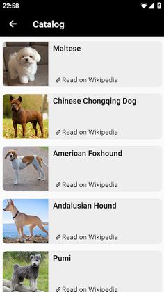 Dog breeds - Photo Quiz - Screenshot 4