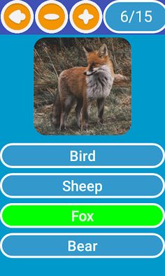 Animal Quiz - Screenshot 1