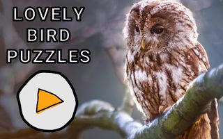 Lovely Bird Puzzles - Screenshot 1