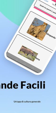 Doppia Risposta - Screenshot 3