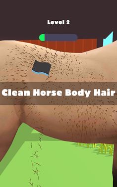 Horse Care 3D - Screenshot 1