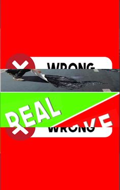 Real or Fake Photo Game - Screenshot 4