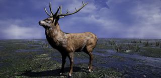 Hunter - Screenshot 3