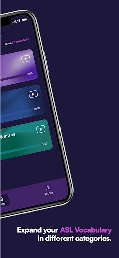 ASL Flurry - Screenshot 3