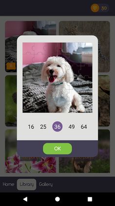 Jigsaw Image Puzzles - Screenshot 3