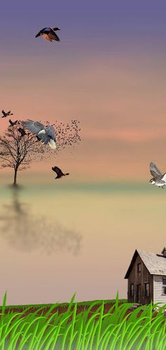 kbsDuck - Screenshot 1