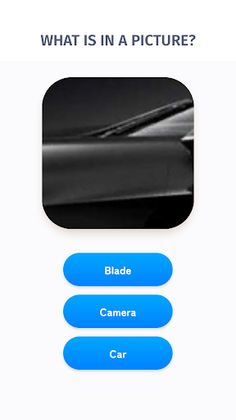 What is it? - Screenshot 4