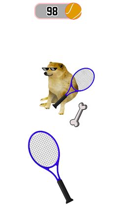Cat Meow Tennis Sport Battle - Screenshot 4